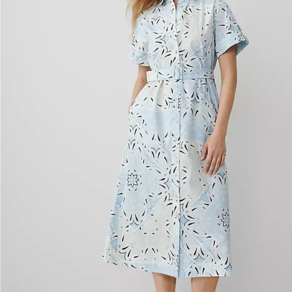 Ann Taylor Green Buttoned Midi Dress with Cuffed Sleeves - Picture 2 of 6